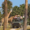 Exploring the Zoos in St. Lucie County, Florida: Age Restrictions and More