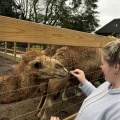 The Impact of Educational Programs in Zoos: A Look at St. Lucie County, Florida