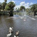 The Ultimate Guide to Visiting the Zoos in St. Lucie County, Florida