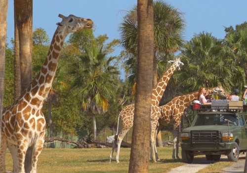 Exploring the Zoos in St. Lucie County, Florida: Age Restrictions and More