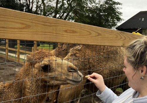 The Impact of Educational Programs in Zoos: A Look at St. Lucie County, Florida