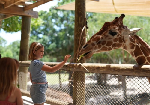 Exploring the Policy on Smoking at Zoos in St. Lucie County, Florida