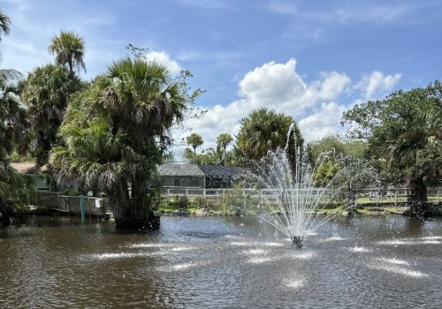 The Ultimate Guide to Visiting the Zoos in St. Lucie County, Florida